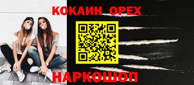 амф Кингисепп