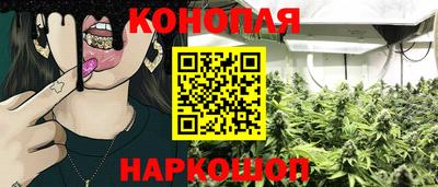 амф Кингисепп