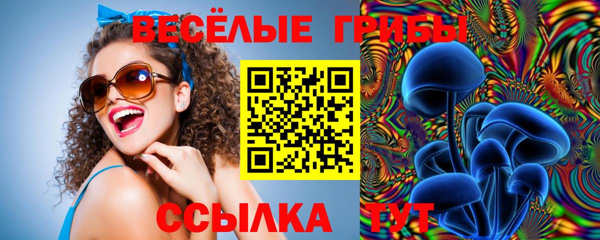 Галлюциногенные грибы Psilocybe  Вход с VPN  Галлюциногенные грибы Psilocybe  Лангепас 